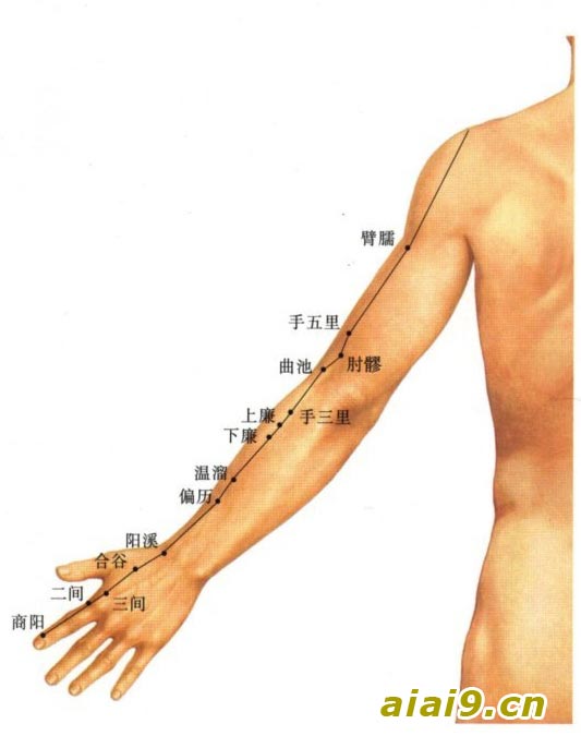 艾艾贴献上调理喉咙痛良策